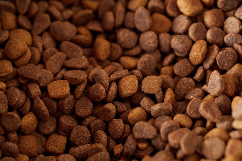 Know Each Animal's Food