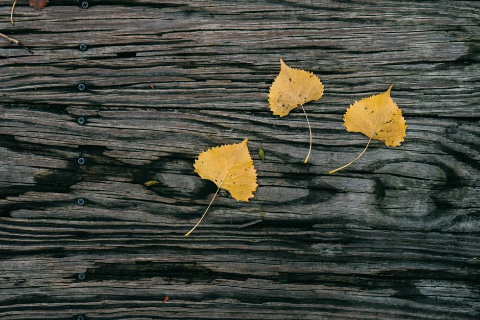 Gather Three Wooden Planks